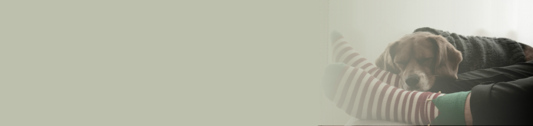 Coping with christmas